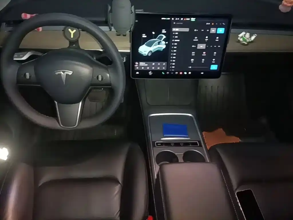 Tesla Model Y — миниатюра 13