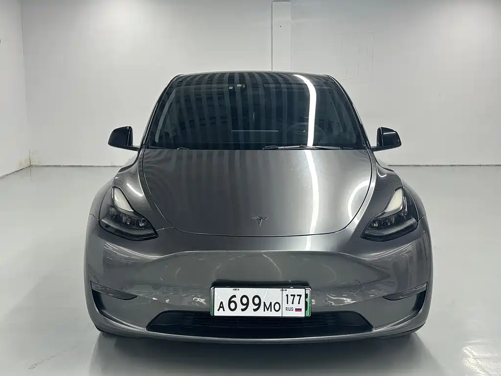 Tesla Model Y — миниатюра 2