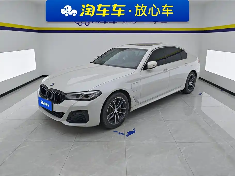 BMW 5 Series New Energy 2021