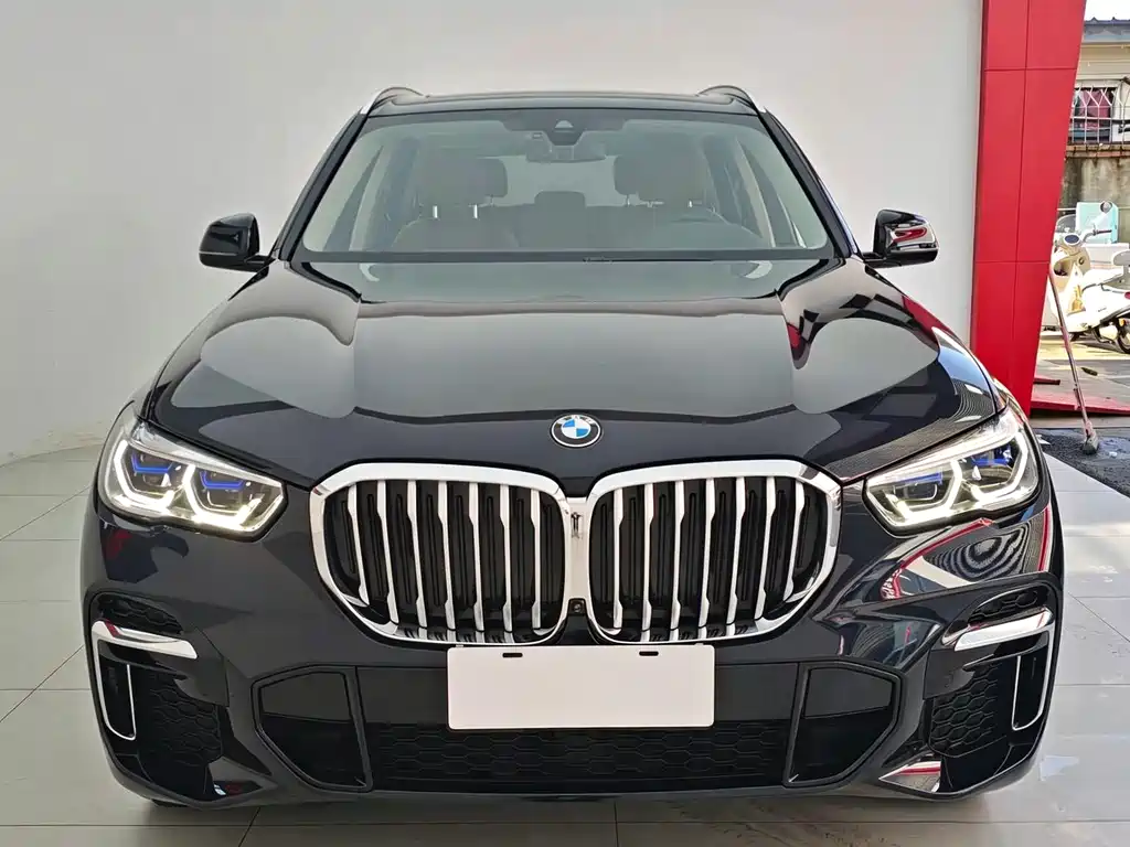 BMW X5 — миниатюра 2