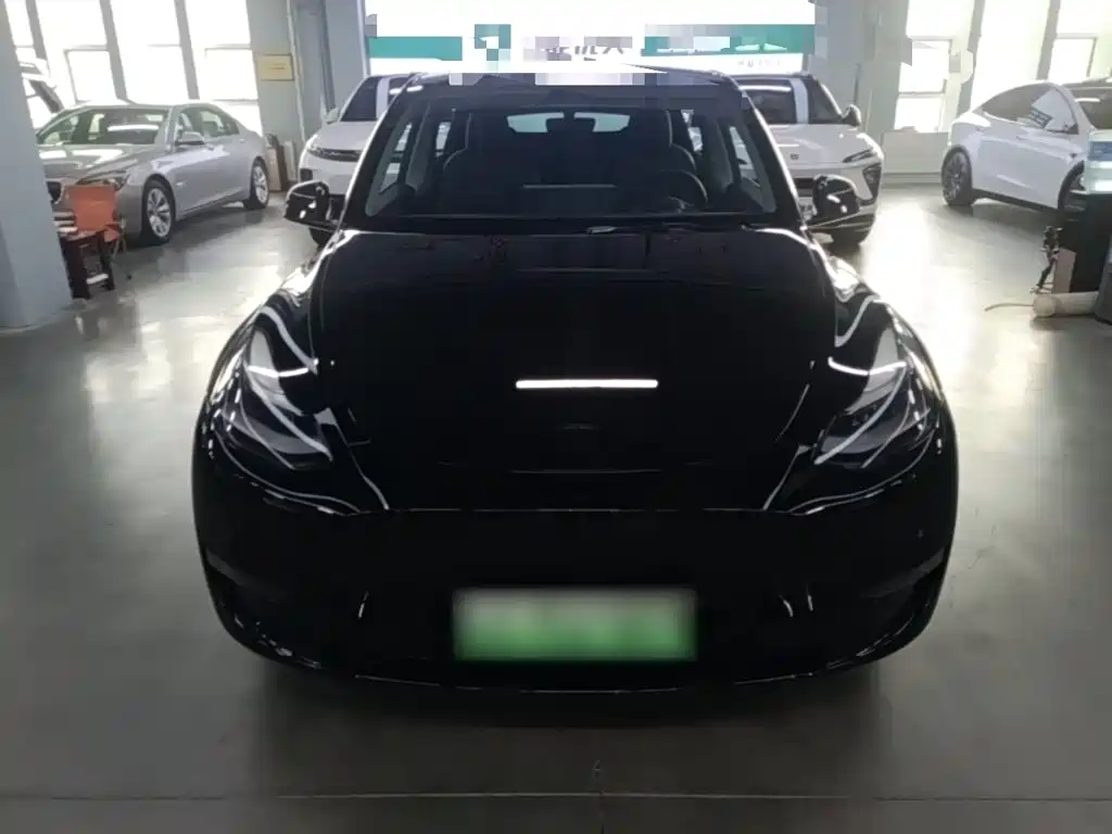 Tesla Model Y — миниатюра 3