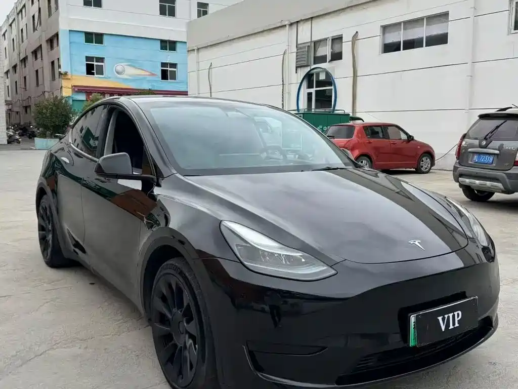 Tesla Model Y — миниатюра 2