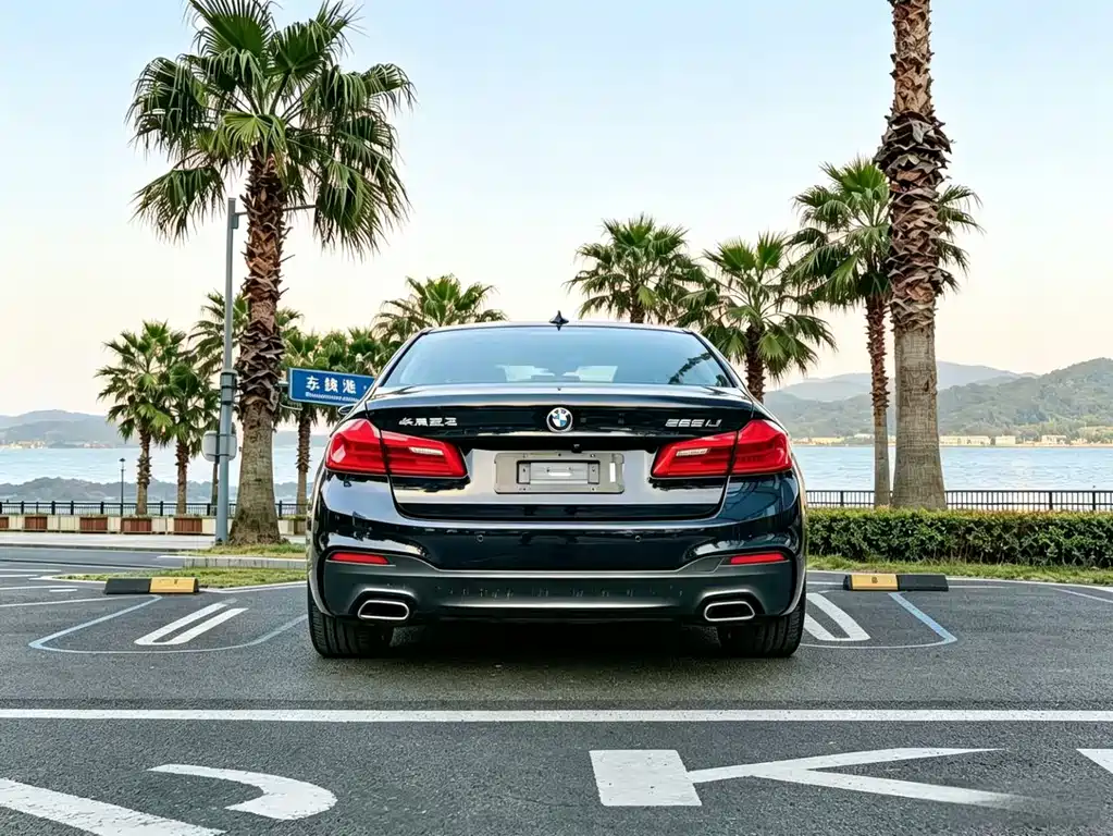 BMW 5 Series — миниатюра 9
