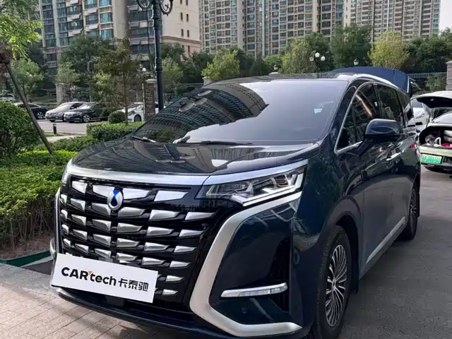 2023 Denza D9