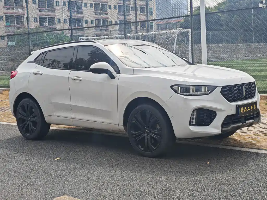 WEI PAI WEI BRAND VV5