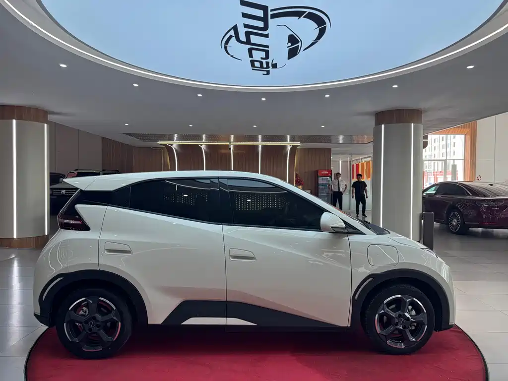 BYD Seagull 2023 Freedom