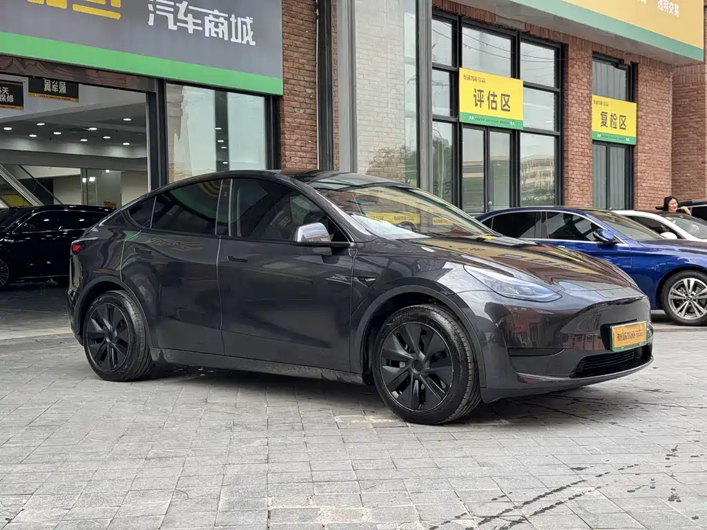 Tesla Model Y — миниатюра 3