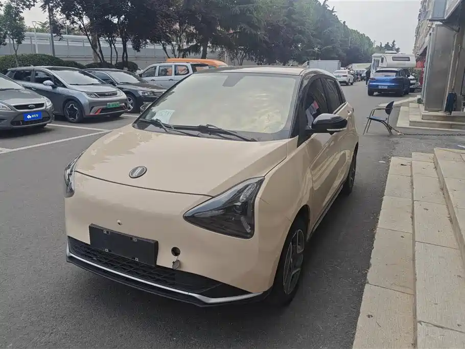 Dongfeng EV Радость 01