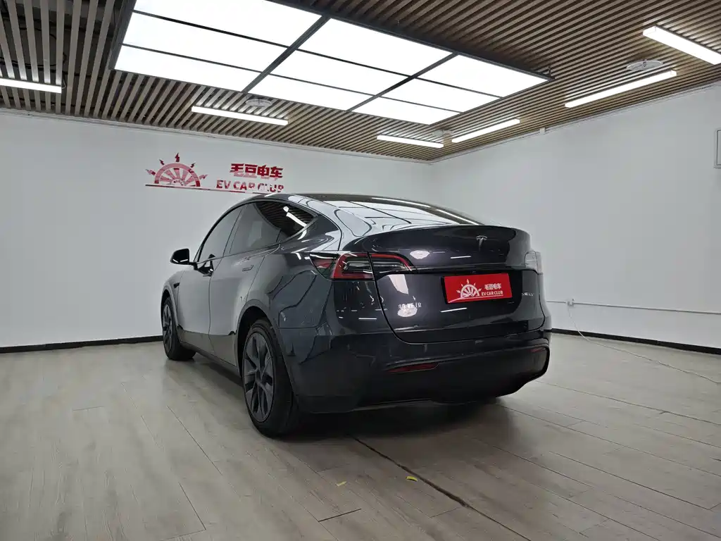 Tesla Model Y — миниатюра 5