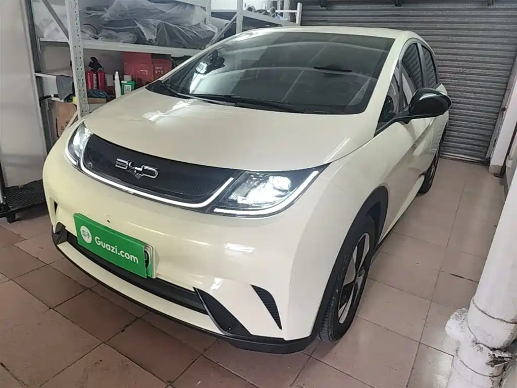 Byd Dolphin 2024