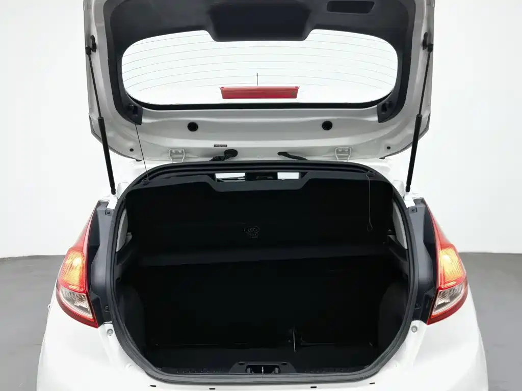 Ford Fiesta — миниатюра 16