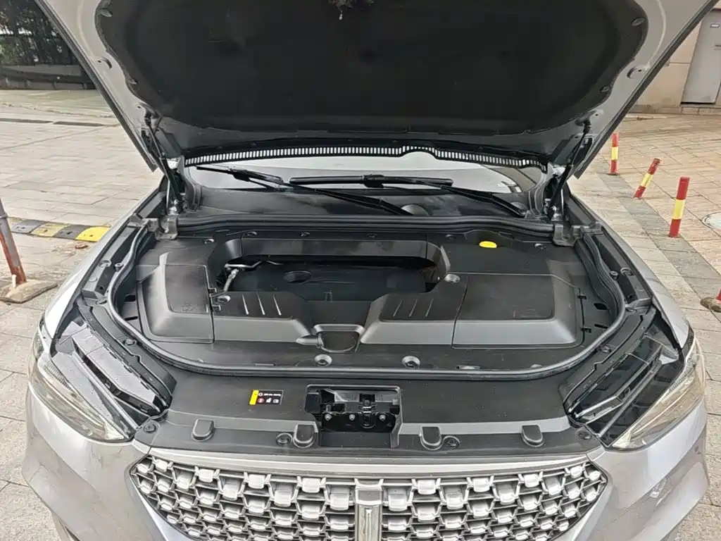 Wey Wey VV6 — миниатюра 20