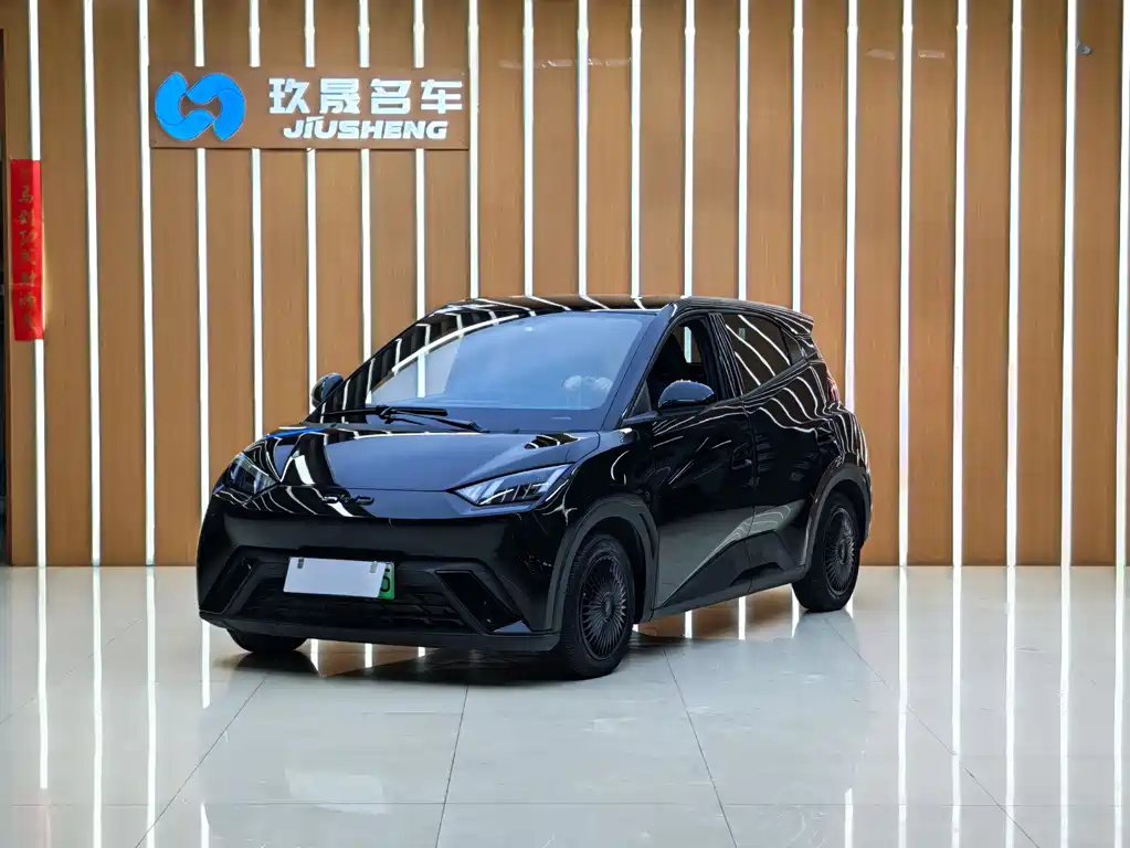 Byd Seagull 2024