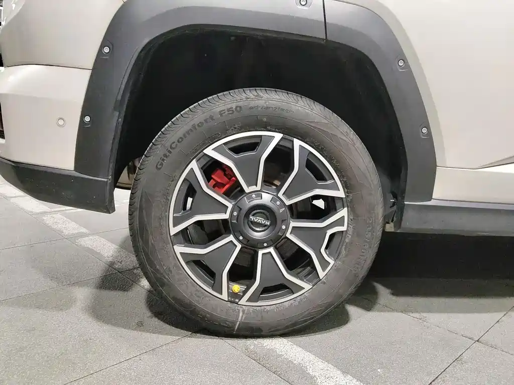Haval Плюс новая энергия. — миниатюра 19