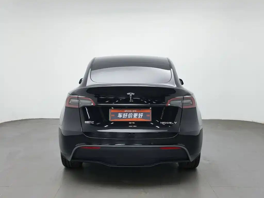 Tesla Model Y — миниатюра 4
