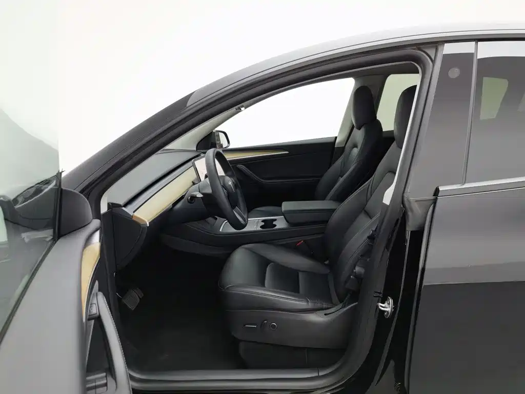 Tesla Model Y — миниатюра 10