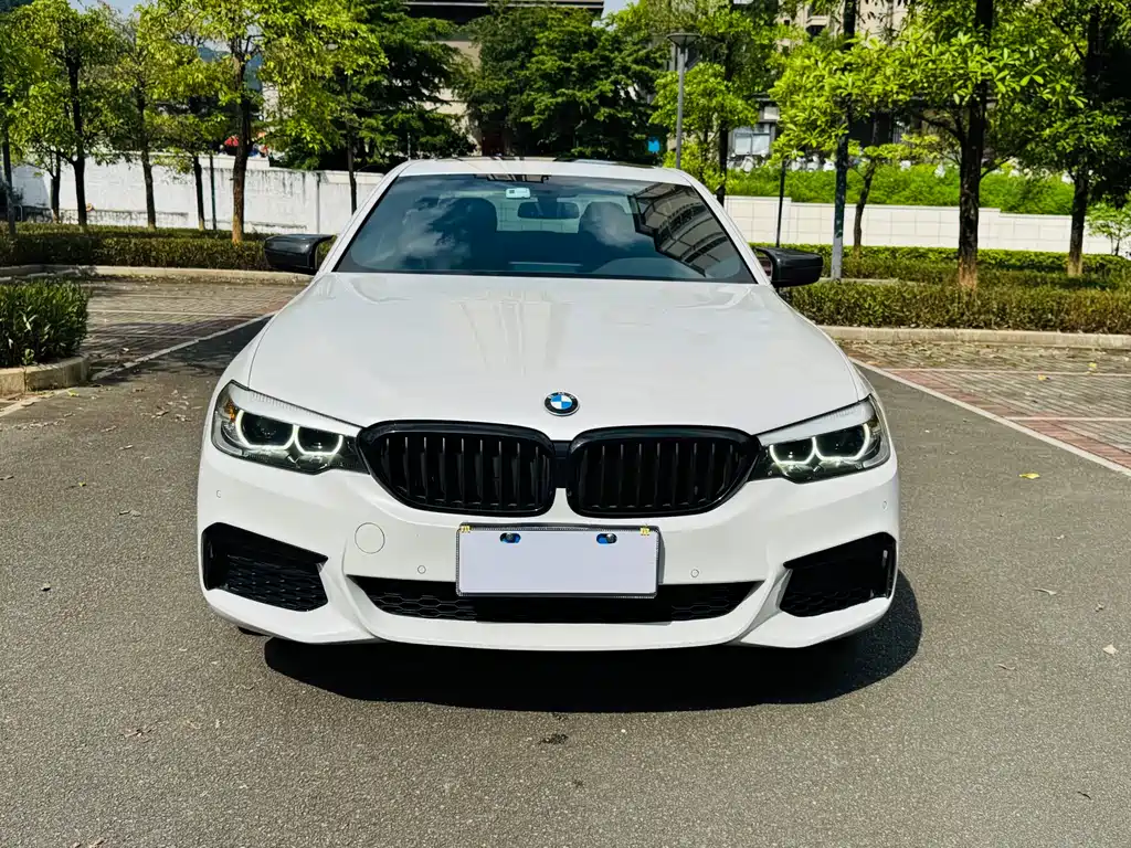 BMW 5 Series 5 2020 525Li M Sport