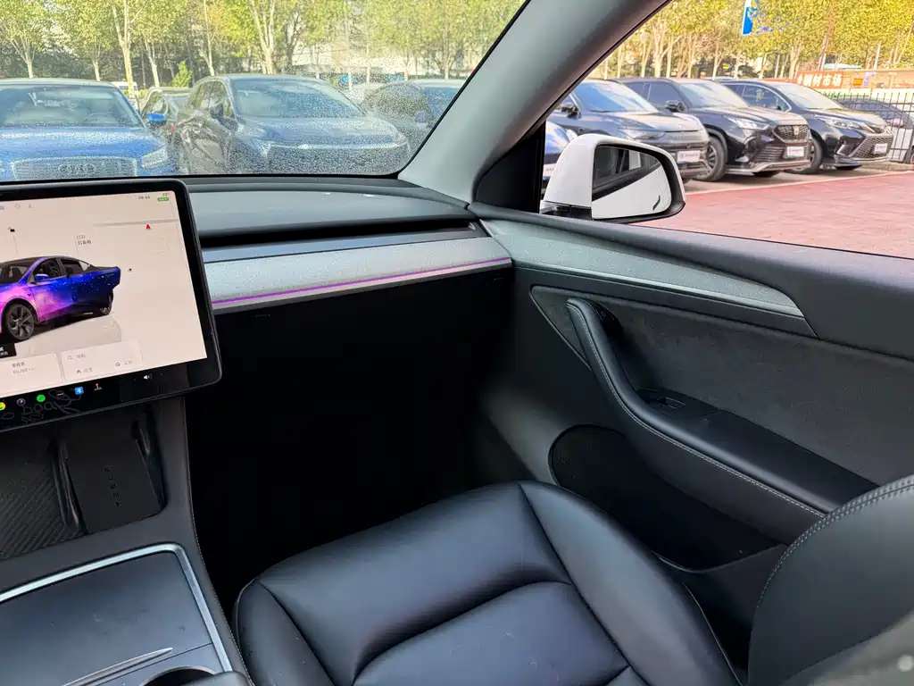 Tesla Model Y — миниатюра 10