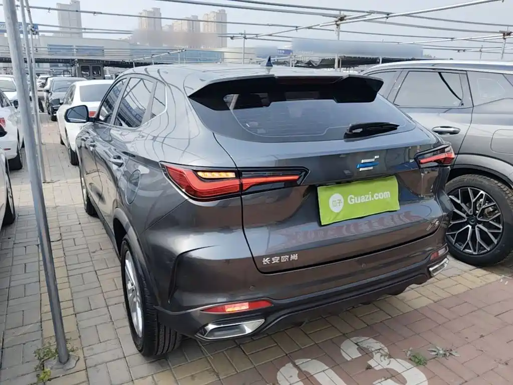 Oshan Oushang X5 — миниатюра 5