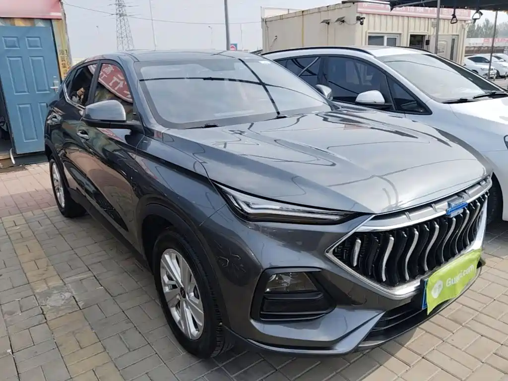 Oshan Oushang X5 — миниатюра 4