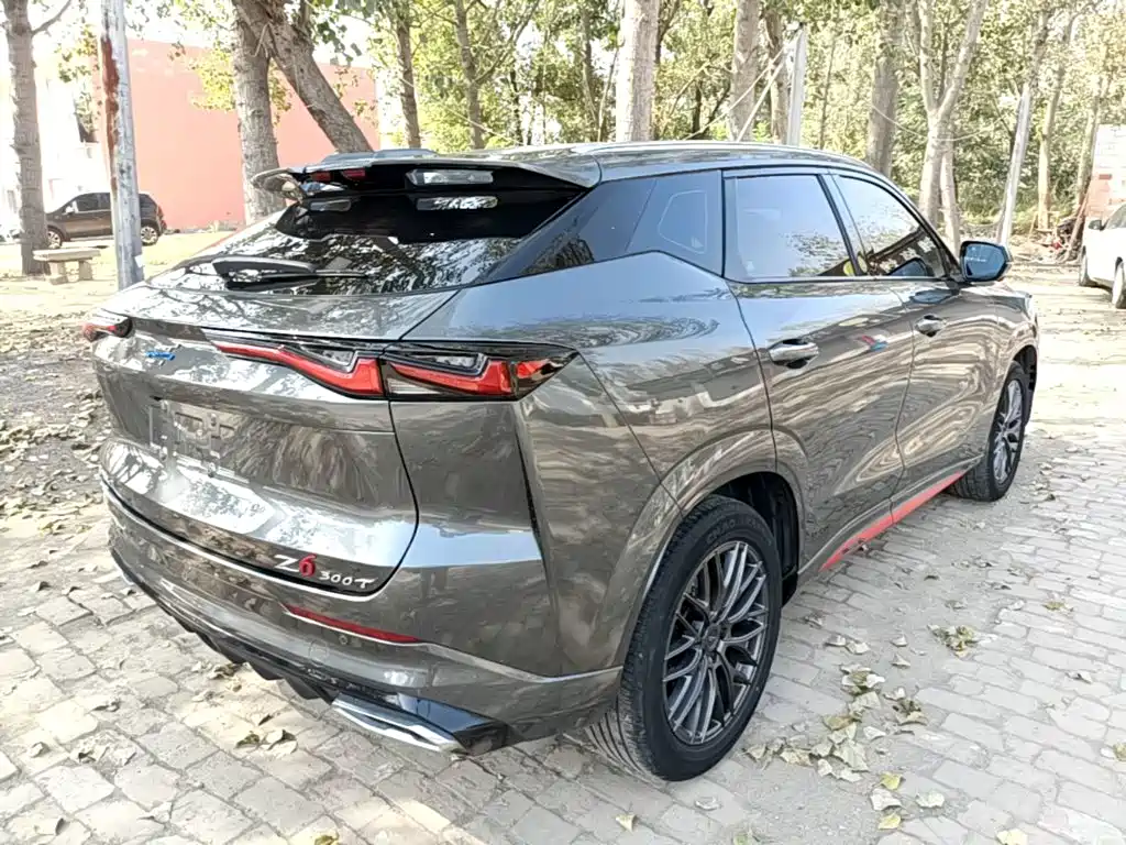 Oshan Oushang Z6 — миниатюра 7