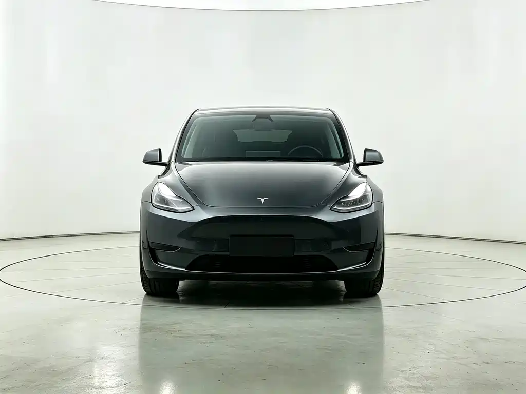 Tesla Model Y — миниатюра 2