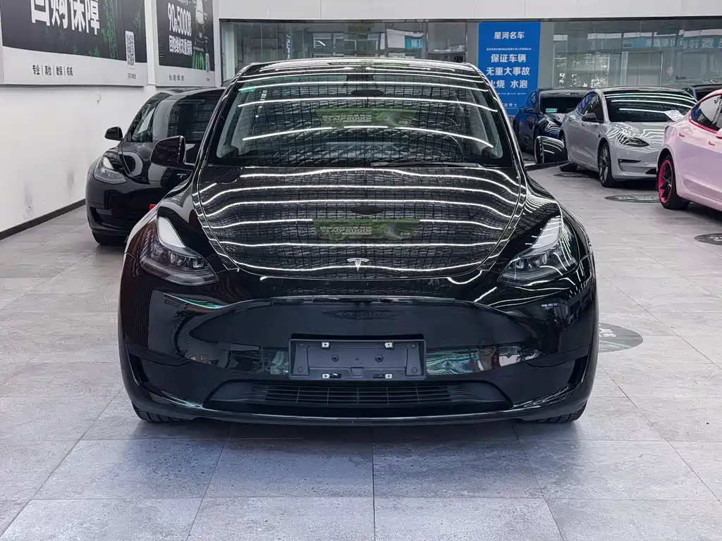 Tesla Model Y — миниатюра 2