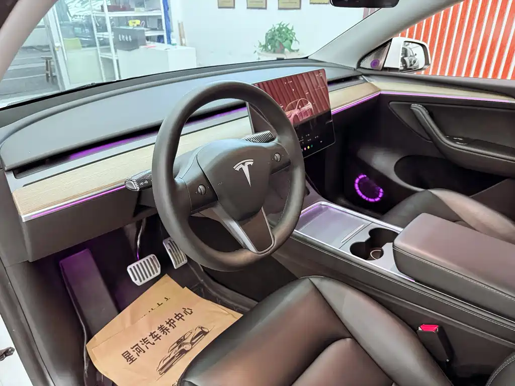 Tesla Model Y — миниатюра 15