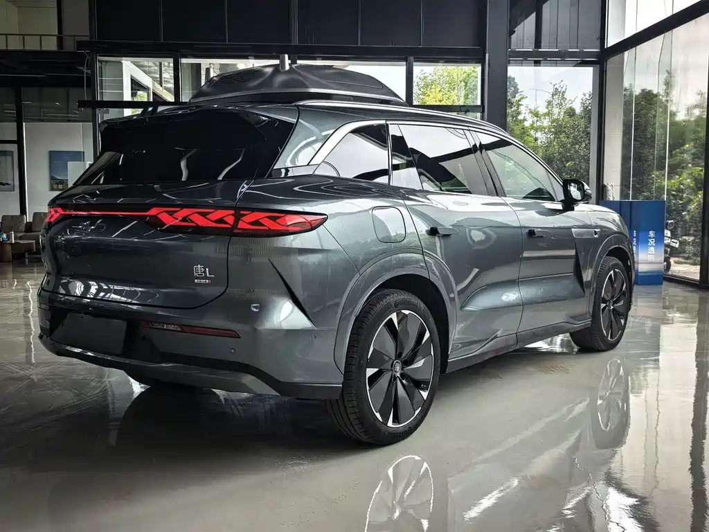 BYD Дон Л. — миниатюра 14