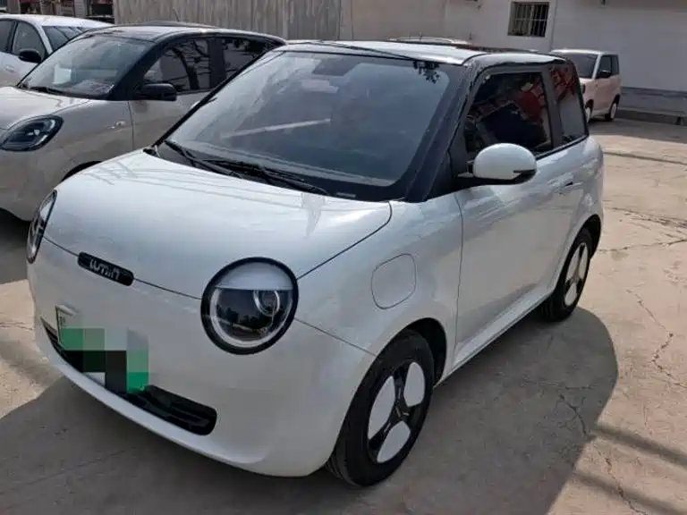 Qiyuan Lumin 2025