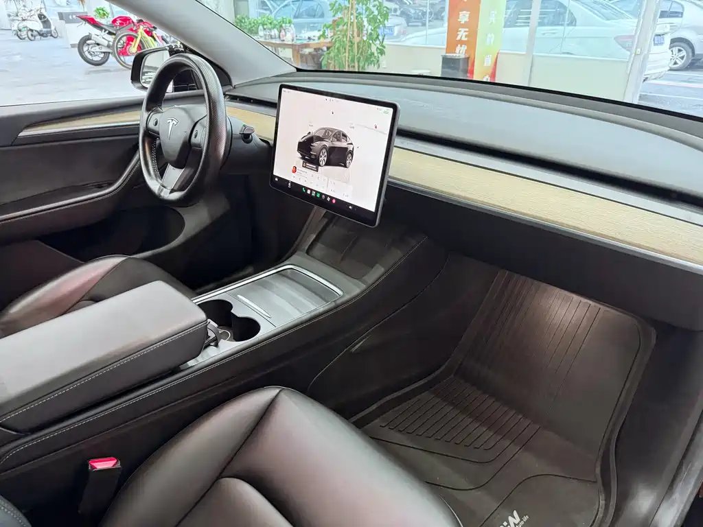 Tesla Model Y — миниатюра 18
