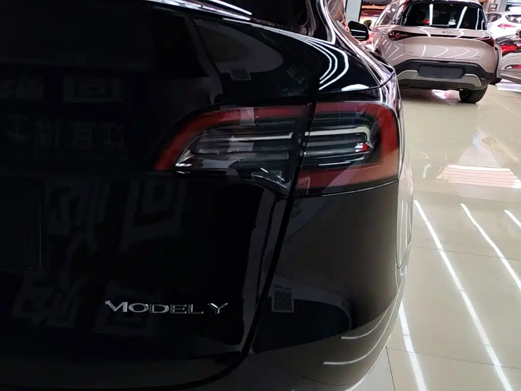 Tesla Model Y — миниатюра 8