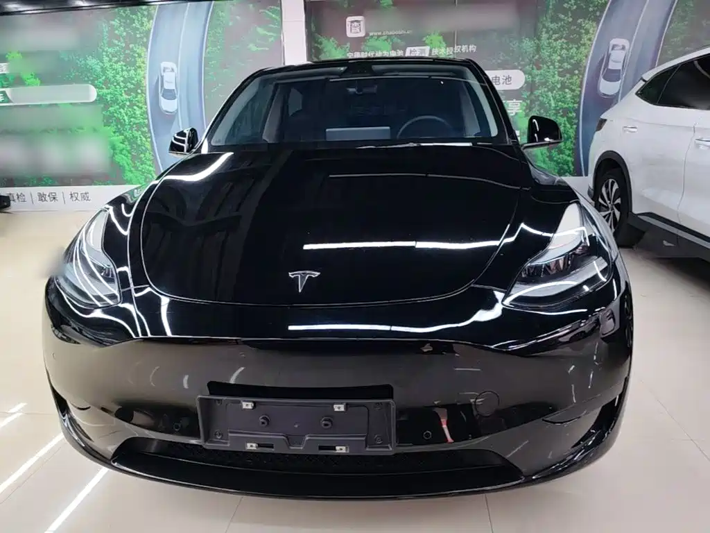 Tesla Model Y — миниатюра 3