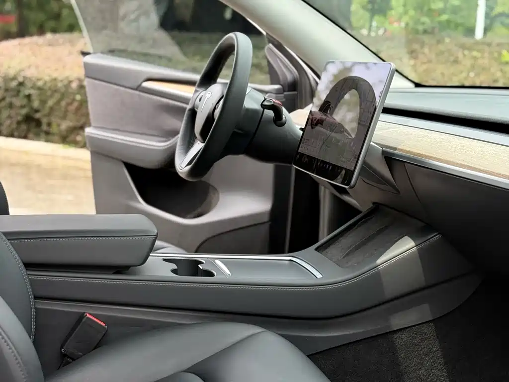 Tesla Model Y — миниатюра 16