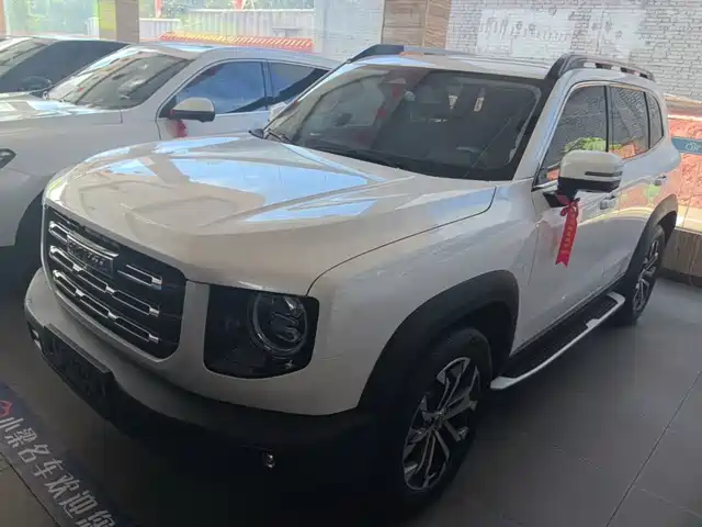 2021 Haval Big Dog