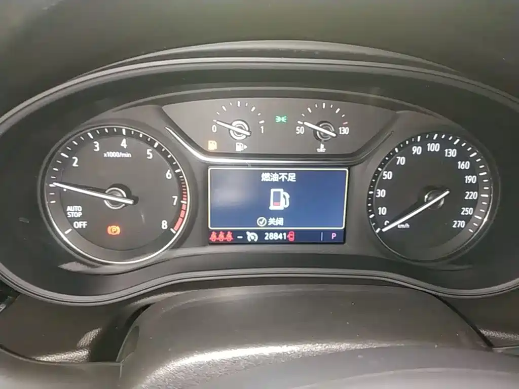 Buick Regal — миниатюра 12