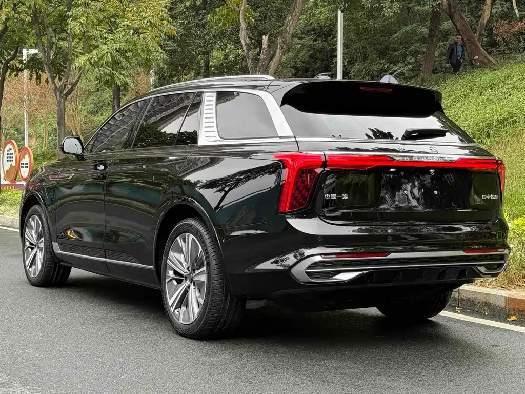 Hongqi Hongqi E-HS9 — миниатюра 4