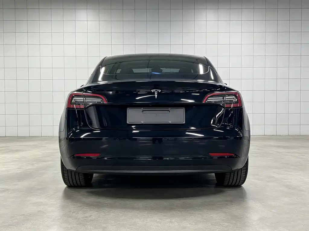 Tesla Model 3 — миниатюра 15