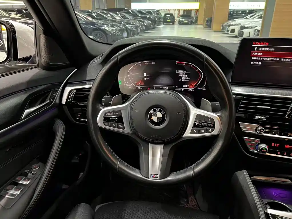 BMW 5 Series (Import) — миниатюра 9