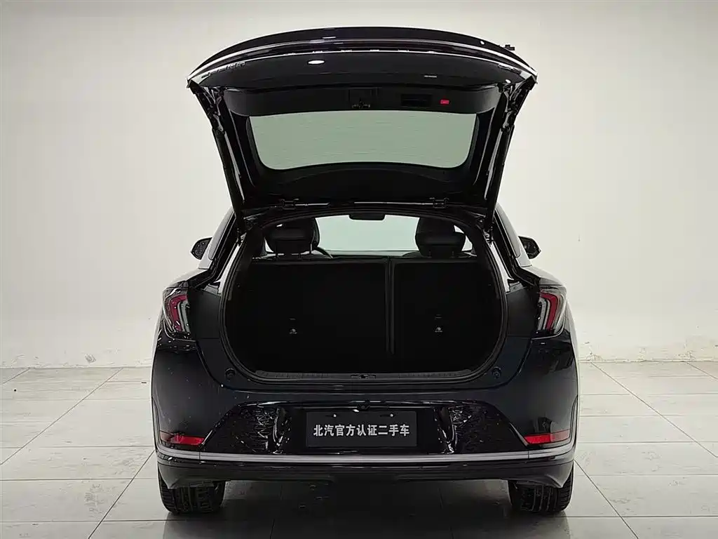 ARCFOX EXTREME FOX POLAR FOX ALPHA S