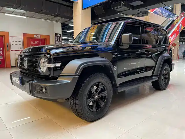 Tank 300
