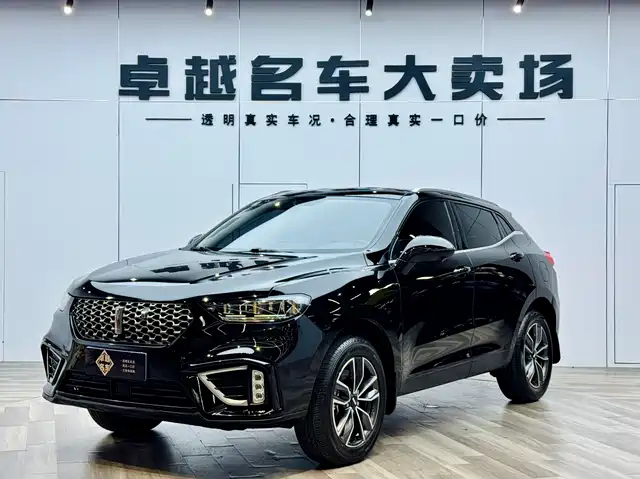 WEI PAI WEI BRAND VV5 2021