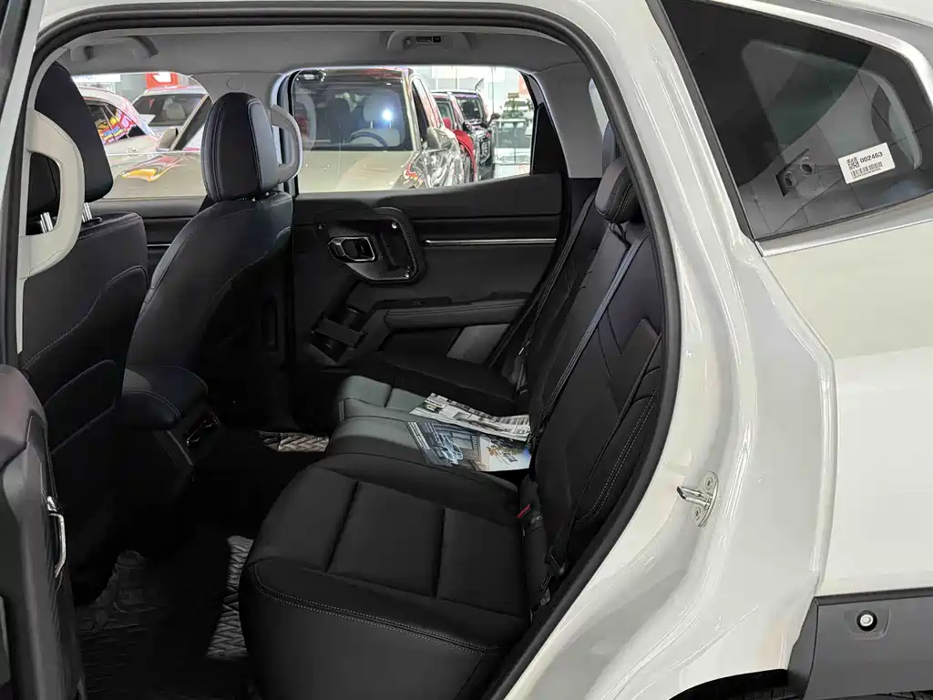 HAVAL SECOND GENERATION BIG DOG NEW ENERGY