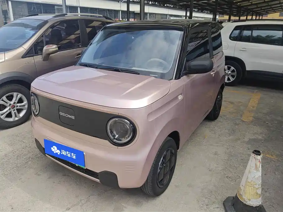 Galaxy Panda 2024