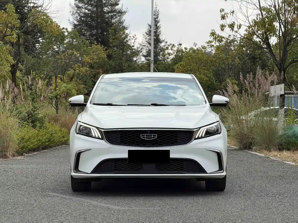 Geely Binrui — миниатюра 3