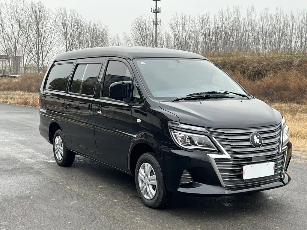 DONGFENG LINGZHI