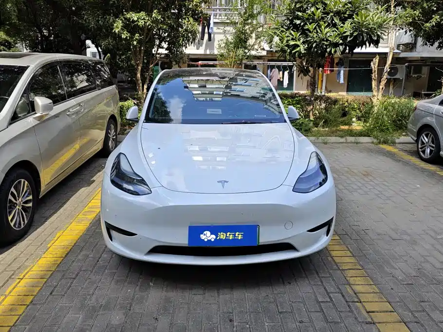 Tesla Model Y — миниатюра 2