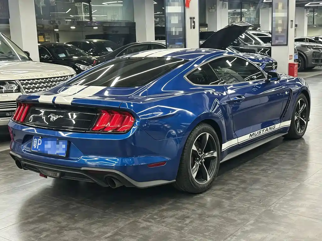 Ford Mustang — миниатюра 6