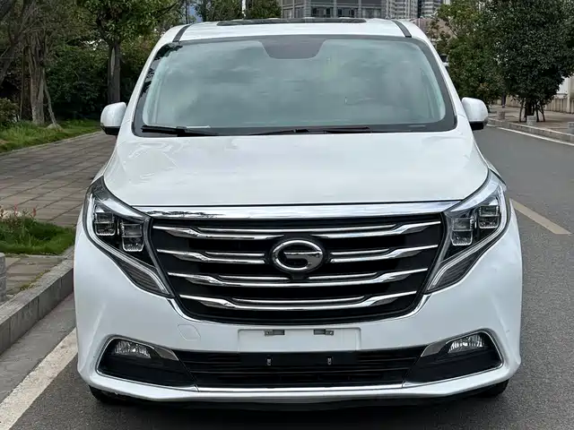 2019 GAC GN8