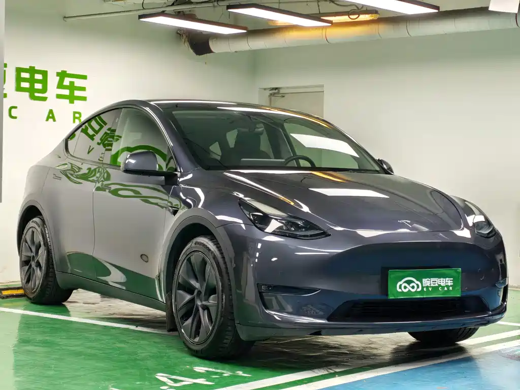 Tesla Model Y — миниатюра 5
